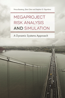 Cover of Megaproject Risk Analysis and Simulation