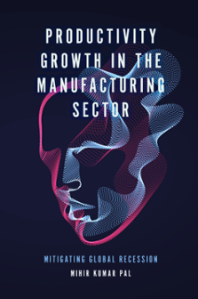 Cover of Productivity Growth in the Manufacturing Sector