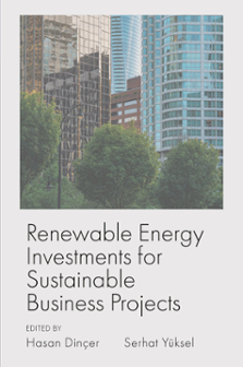 Cover of Renewable Energy Investments for Sustainable Business Projects