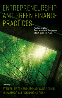 Cover of Entrepreneurship and Green Finance Practices