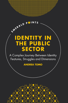Cover of Identity in the Public Sector