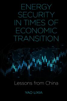 Cover of Energy Security in Times of Economic Transition: Lessons from China